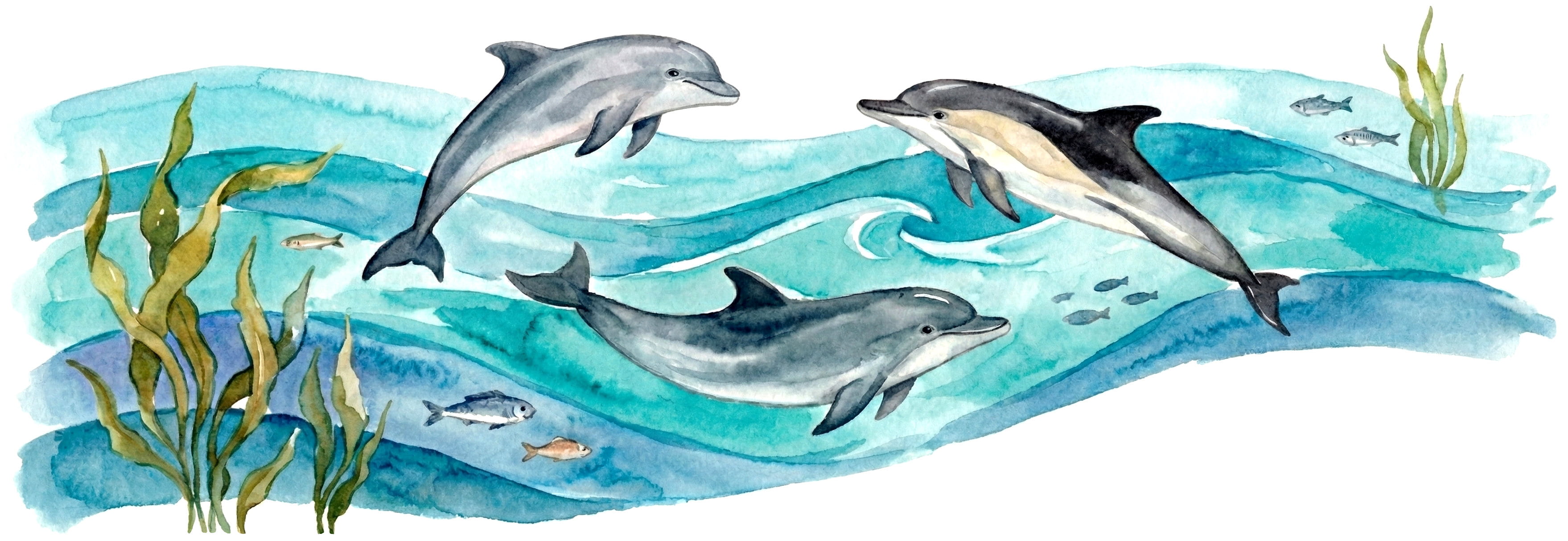 Чистые моря для дельфинов